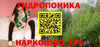гашиш Гай
