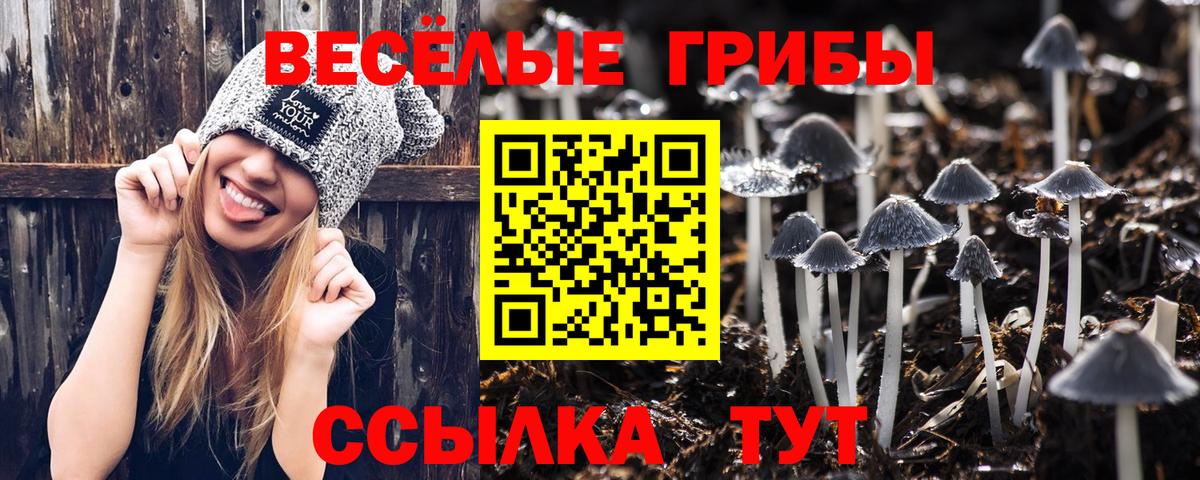 Галлюциногенные грибы Magic Shrooms  Вход с VPN  Волжский  Псилоцибиновые грибы мухоморы 